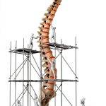 Pain Free Fitness Kindle eBook Physical Medicine Rehabilitation Guide-0